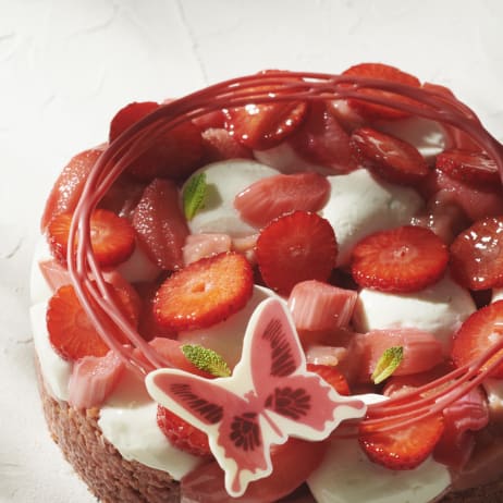 Valrhona Strawberry Rhubarb Chocolate Dessert
