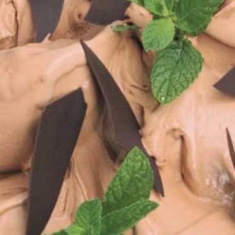 Mint Chocolate Ice Cream