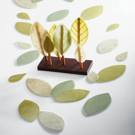 Leaf Is Life Mendiants