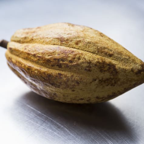 valrhona.com-news-amazcacao-project