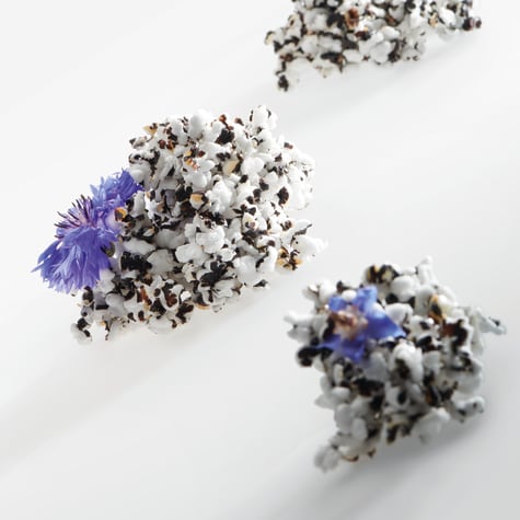 Recette de Fleurs sur les rochers