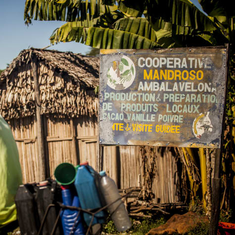 Plantation Millot Madagascar