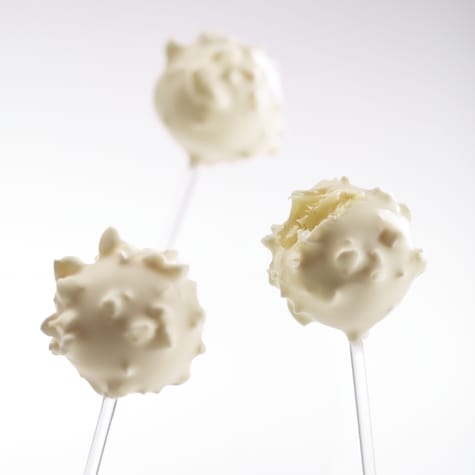 Receta Apollo