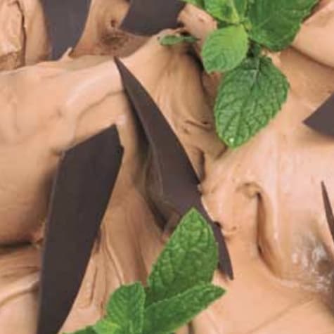 Mint Chocolate Ice Cream