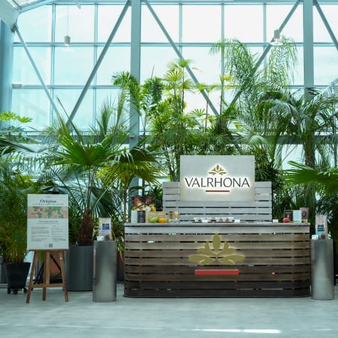 오디세이 오브 테이스트