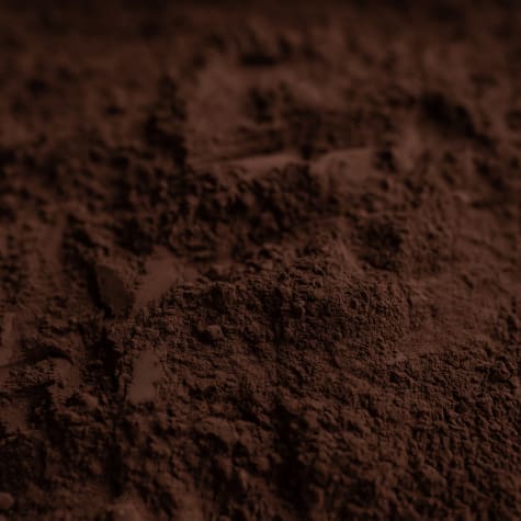 Poudre de cacao