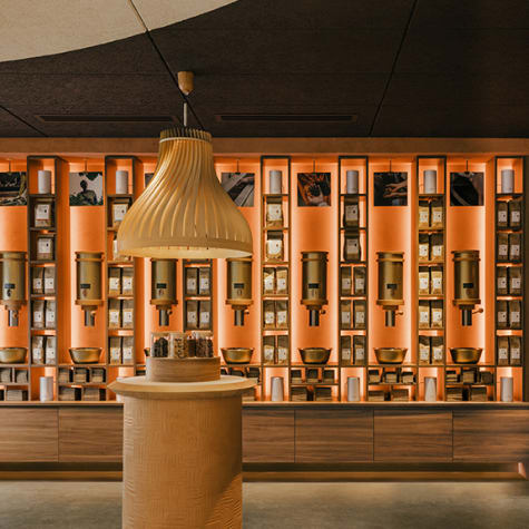 La cantina del cioccolato, alla (ri)scoperta della ricchezza del cacao