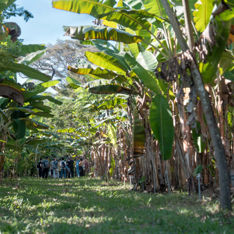 Madagascar plantation trip for cercle V clients