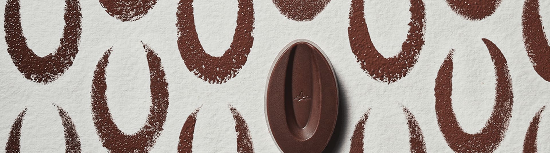 プレスリリース＆資料