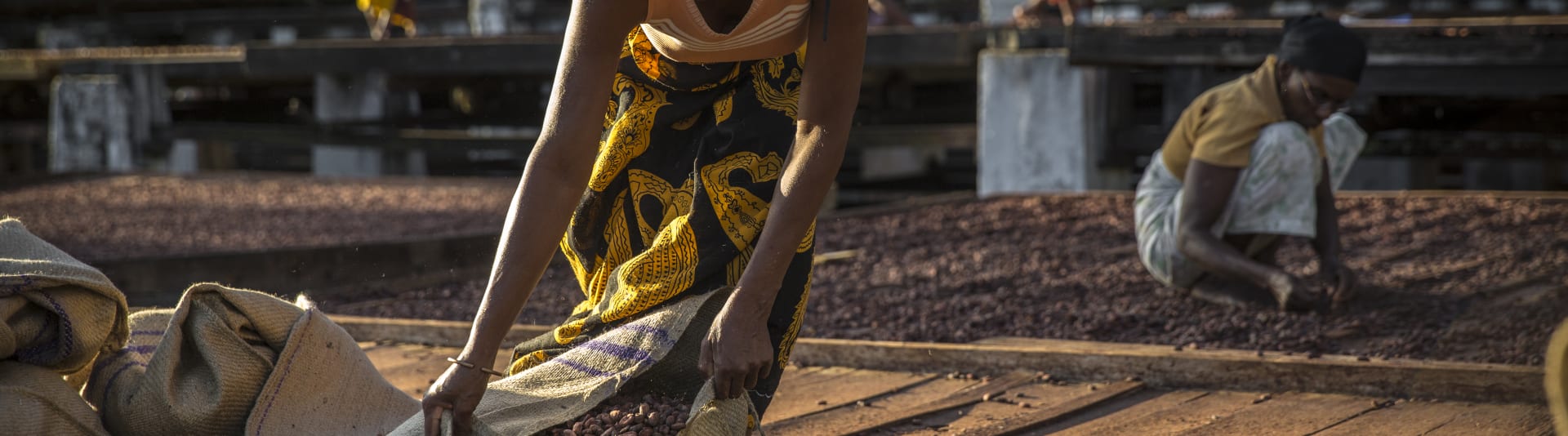 Valrhona's cocoa producer in Madagascar