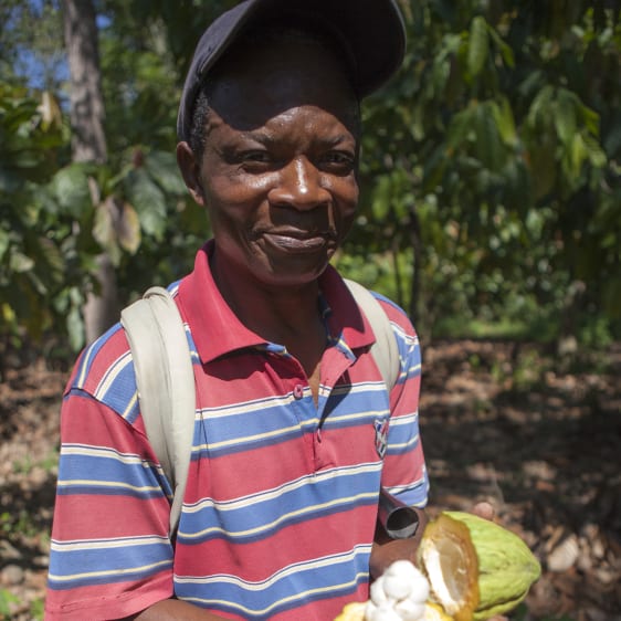 Cacao Feccano - Haiti