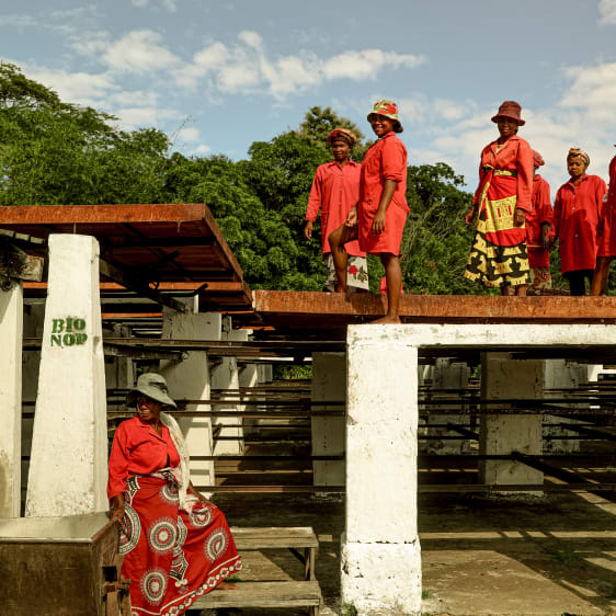 Moodboard Madagascar