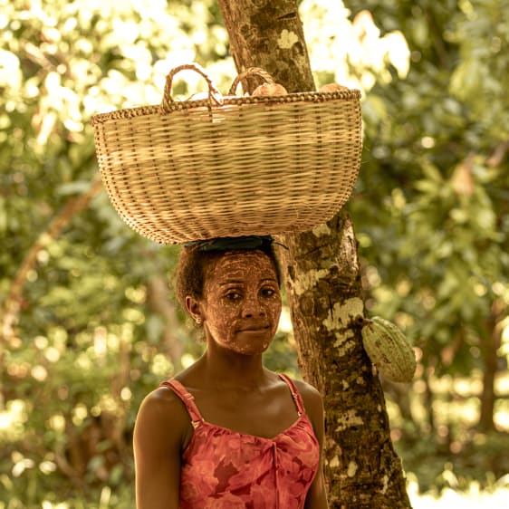 Cacao Millot Madagascar