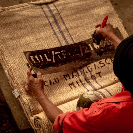 Cacao Millot Madagascar