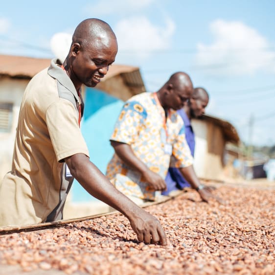Cocoa Producers in Ghana