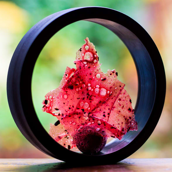 valrhona.com-recipe-amatika-eddie-sheperd