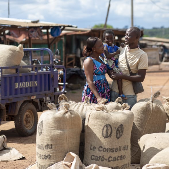 Cacao côte d'ivoire