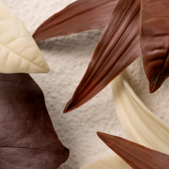 La pâtisserie végétale : une nouvelle source de créativité