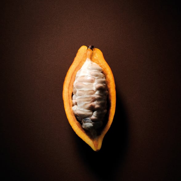 cocoa pod