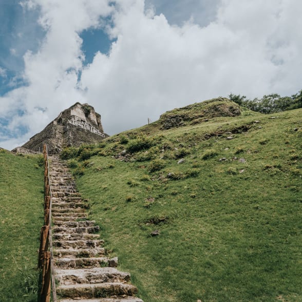 Cocoa growing in Belize