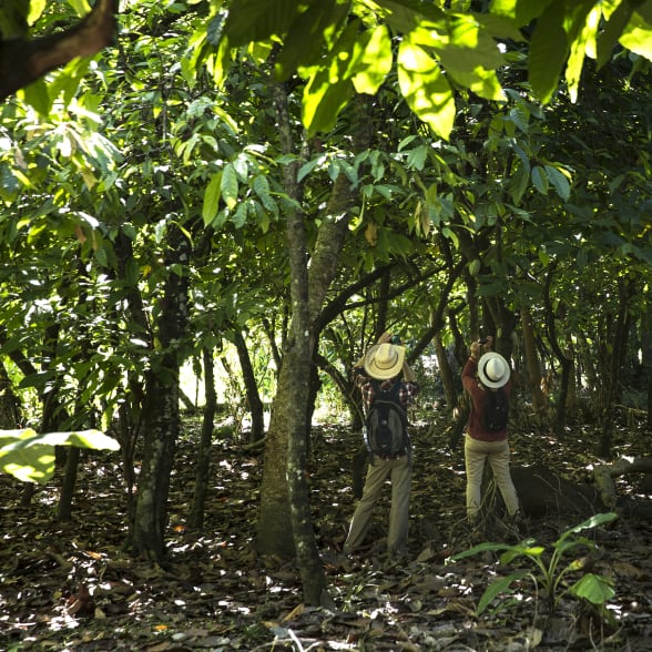 géolocalisation GPS Madagascar