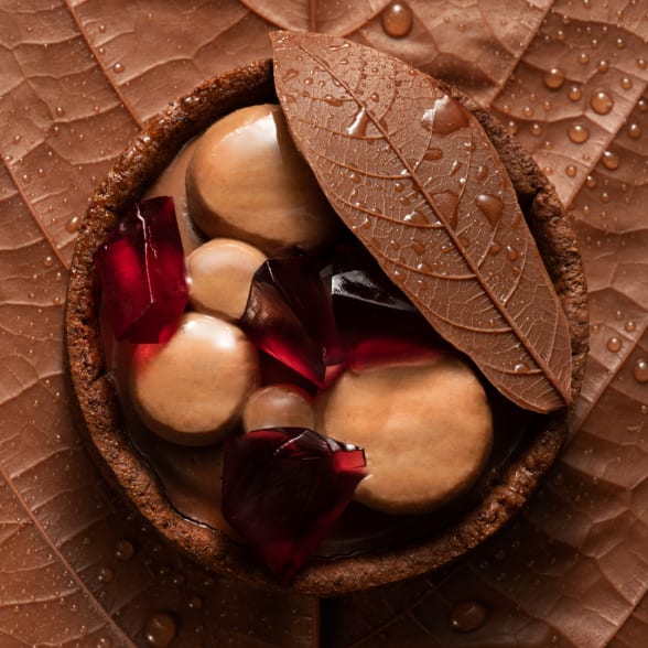 valrhona.com-recipe-amatika-frederic-bau