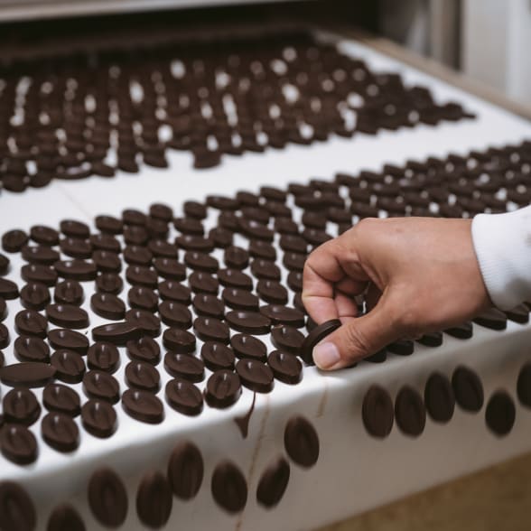 fèves de chocolat valrhona