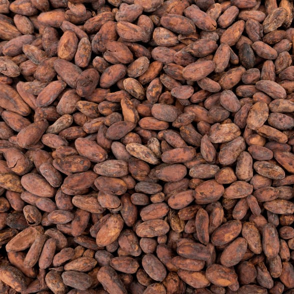 fèves de cacao