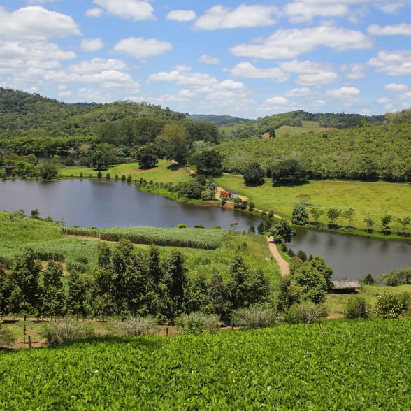 Brazil, a land of culture