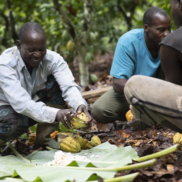 Produttore di cacao in Costa d'Avorio