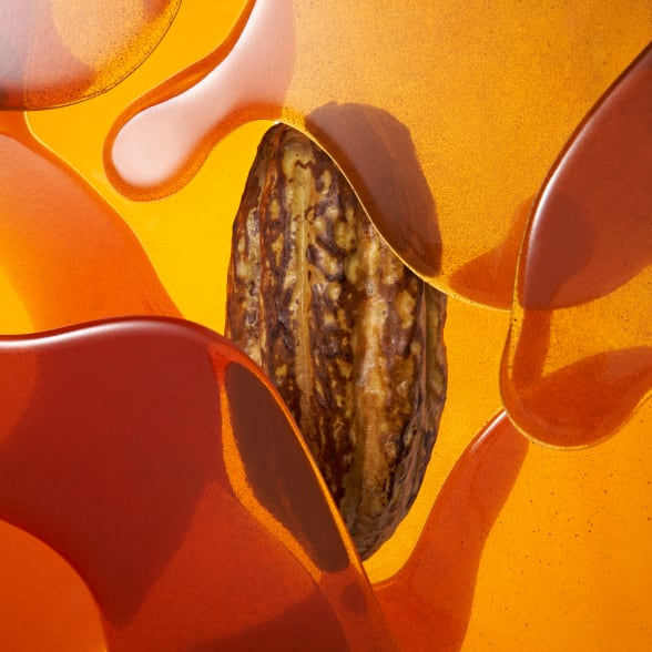 valrhona.asia/oabika