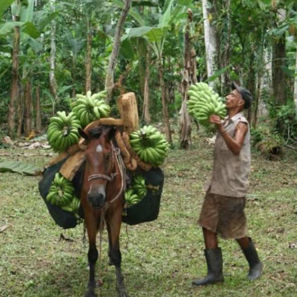 Dominican Republic