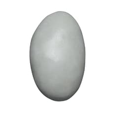 Galet Lait