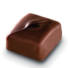 Praliné intense Lait