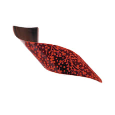 Volutine noire bourgeons oranges