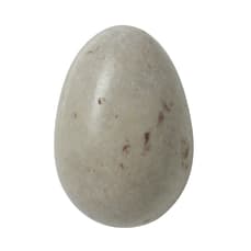 Huevos de Gaviota