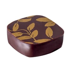 SENSATION GANACHE THE JASMIN