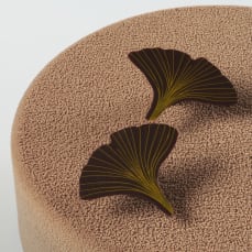 Feuille ginko nervures vertes