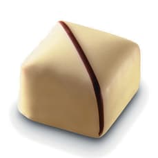 Carré Praliné Ivoire