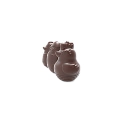 Famille poussins