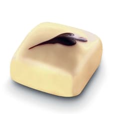 Praliné Intense Ivoire