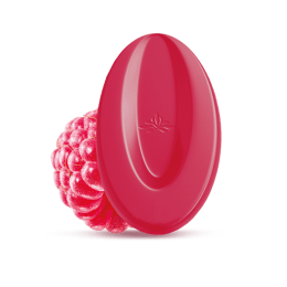 Raspberry Inspiration Feve