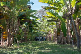 Madagascar plantation trip for cercle V clients