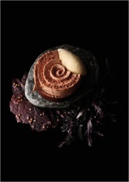 New Valrhona Chocolate Holiday Recipes