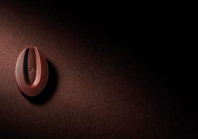 Valrhona.com-Push-Menu-Actus