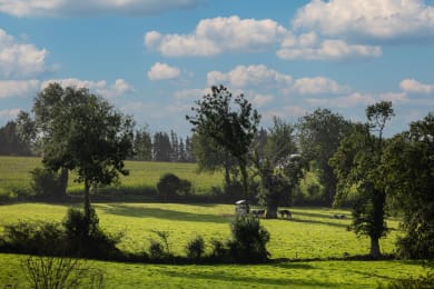 ELLE & VIRE PROFESSIONNEL® : The French Excellence