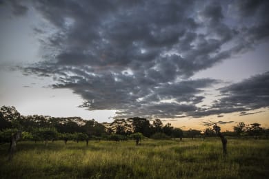ヴァローナ　ミッション画像