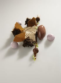 Alvaro GANTES GOMEZ, Arbore Da Veira, Spain