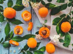 Valrhona.com-cahier-tendances-apricots