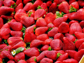 Valrhona.com-Seasonal Flavors - A spotlight on strawberries